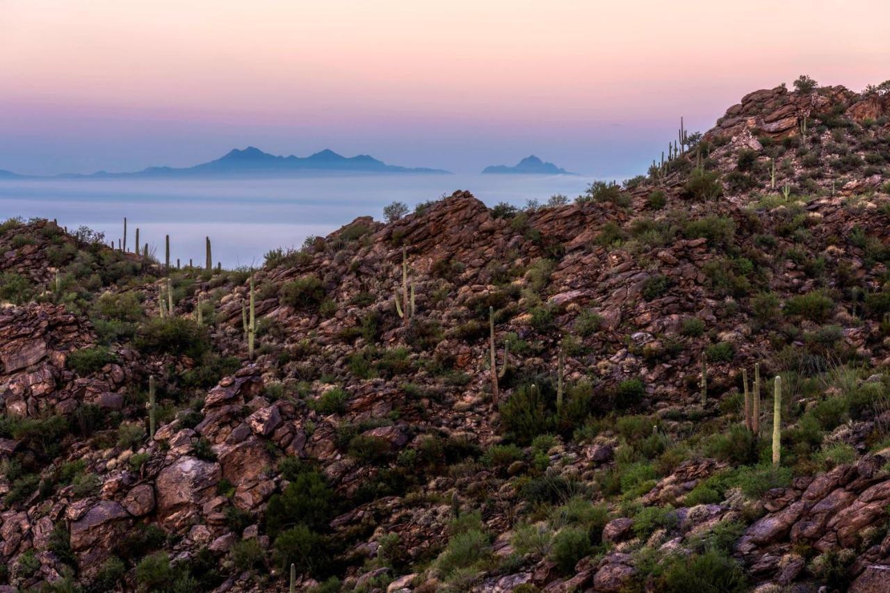 The Ritz-carlton, Dove Mountain Marana
